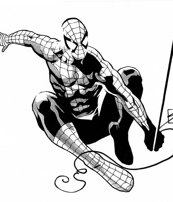 spidsketch